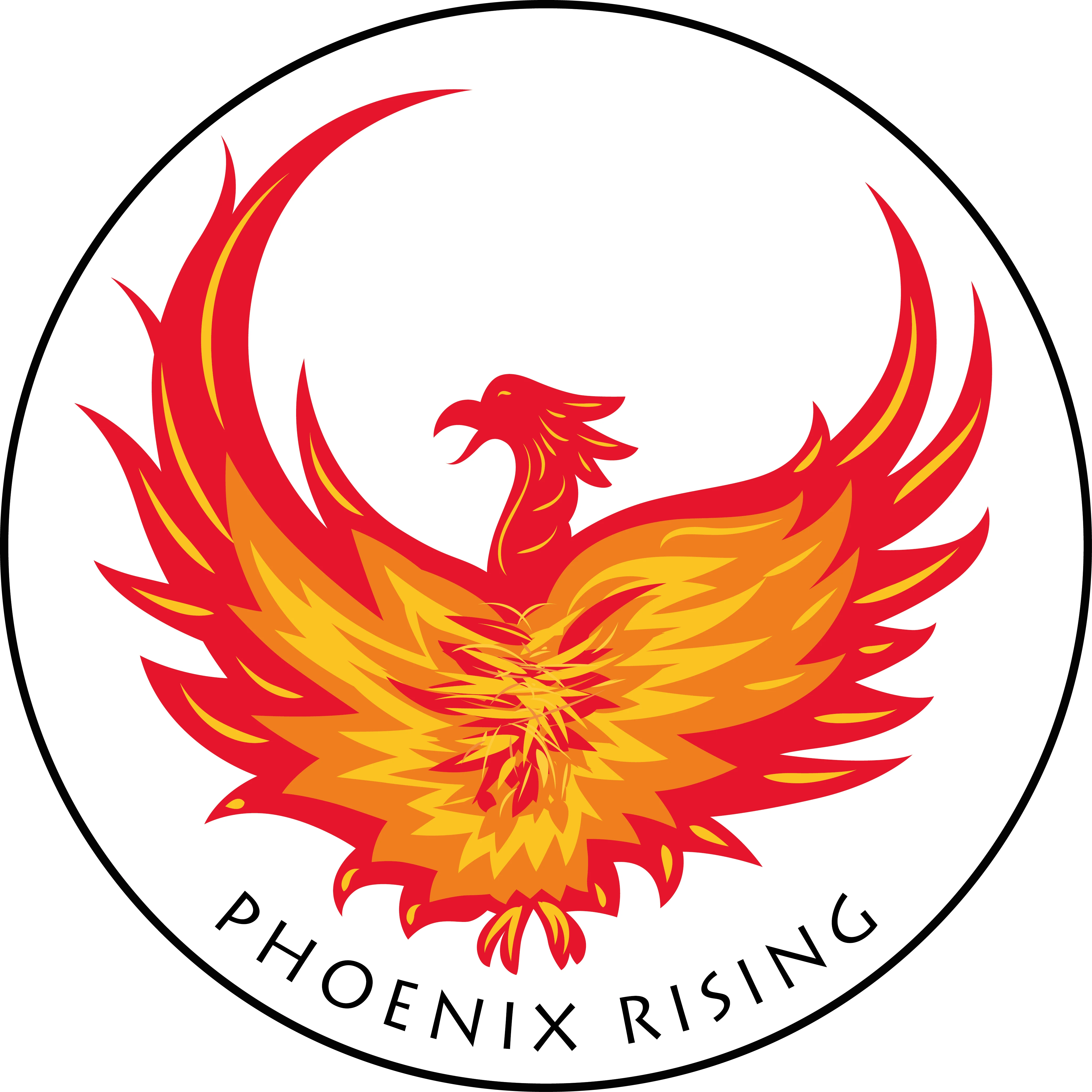 phoenixrising.store